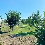 Relax By The Sea Langa Please Si Nibiru Camping Costinesti