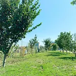 Relax By The Sea Langa Please Si Nibiru Costinesti