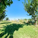 Camping Relax By The Sea Langa Please Si Nibiru Costinesti