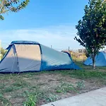 Relax By The Sea Langa Please Si Nibiru Costinesti
