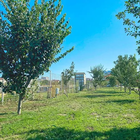 Relax By The Sea Costinesti