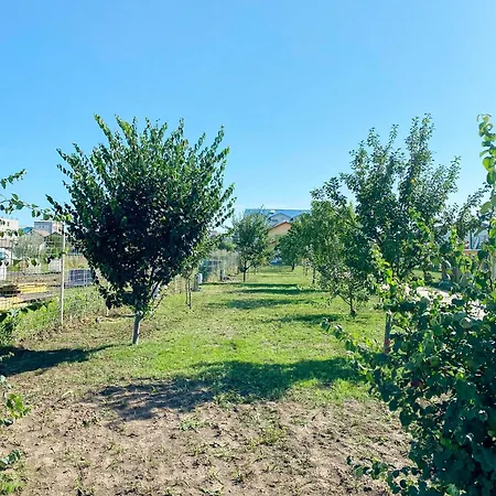 Relax By The Sea Camping Costinesti