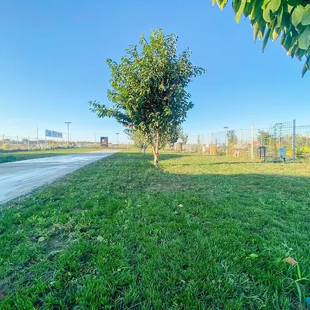 Camping Relax By The Sea Costinesti