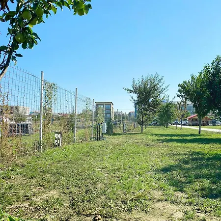 Relax By The Sea Costinesti