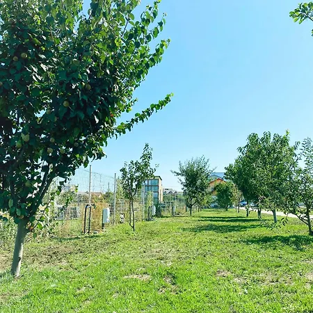 Relax By The Sea Next To Nibiru Costinesti