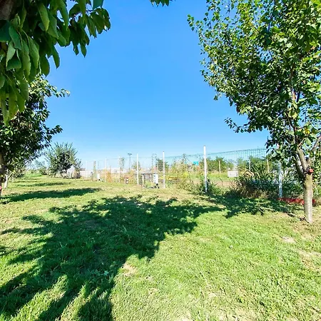 キャンプ場 Relax By The Sea コスティネシュティ