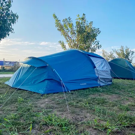 キャンプ場 Relax By The Sea コスティネシュティ